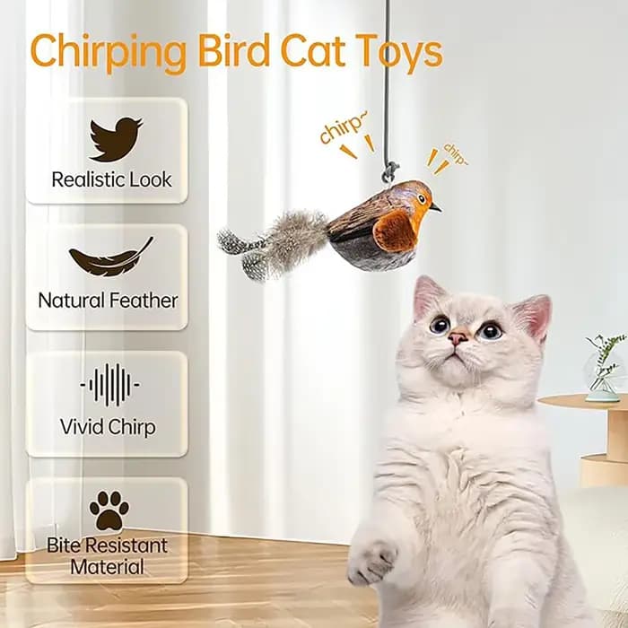 Jouet interactif d'intérieur pour chat
