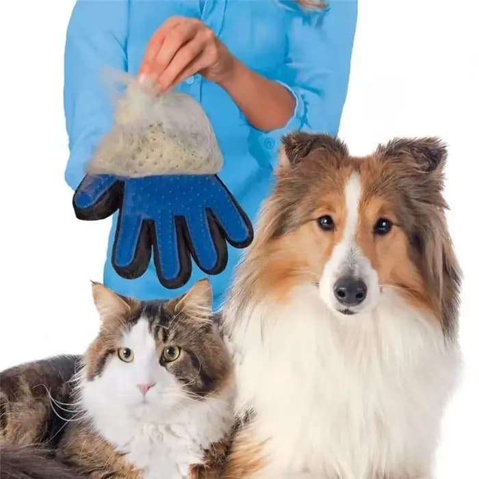 Gant de toilettage pour animaux de compagnie