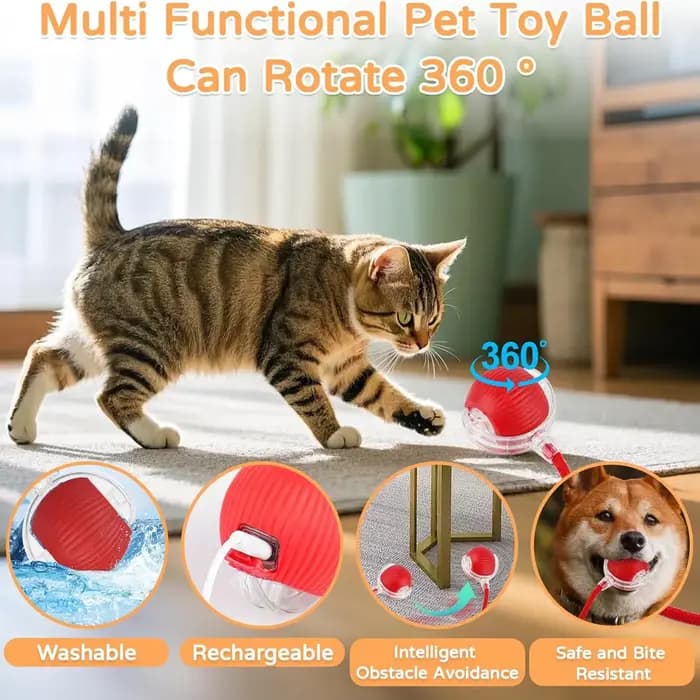 ILMH 1/2 PCS Jouet interactif pour chat