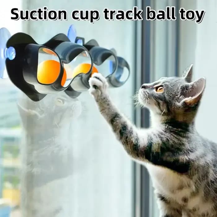 Piste chat jouet en plastique ventouse