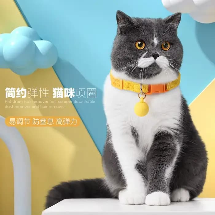 Collier pour chat avec cloche