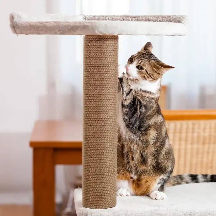 Poteau à gratter pour arbre à chat