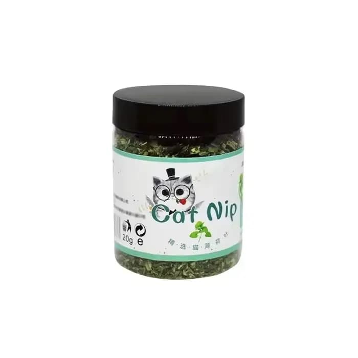 Jouet pour chat interactif en herbe