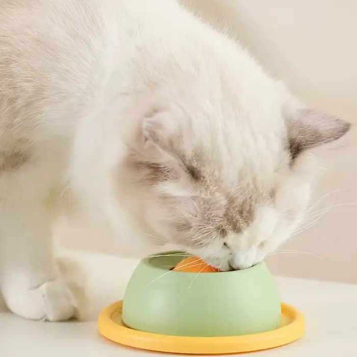 Jouets interactifs de nourriture de léchage de chat de compagnie