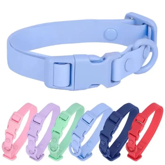 Collier de chien à sangle élastique