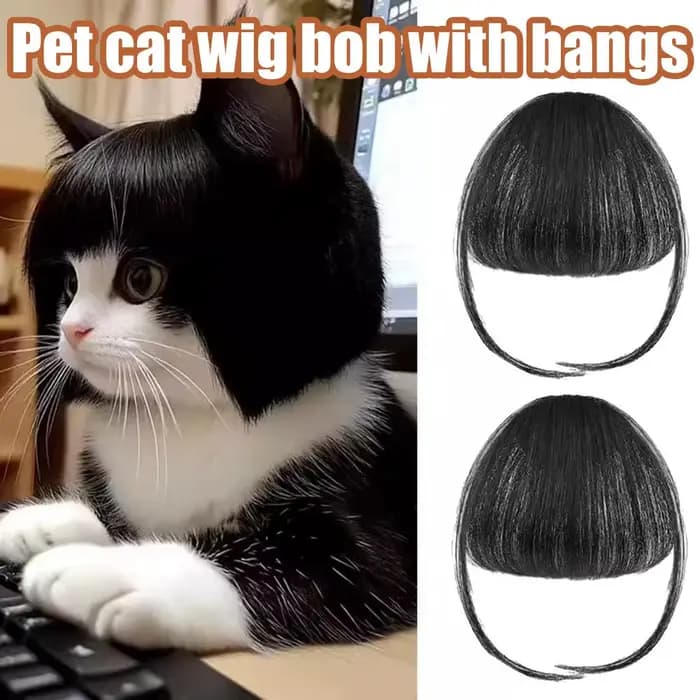 Accessoires de perruque pour chat