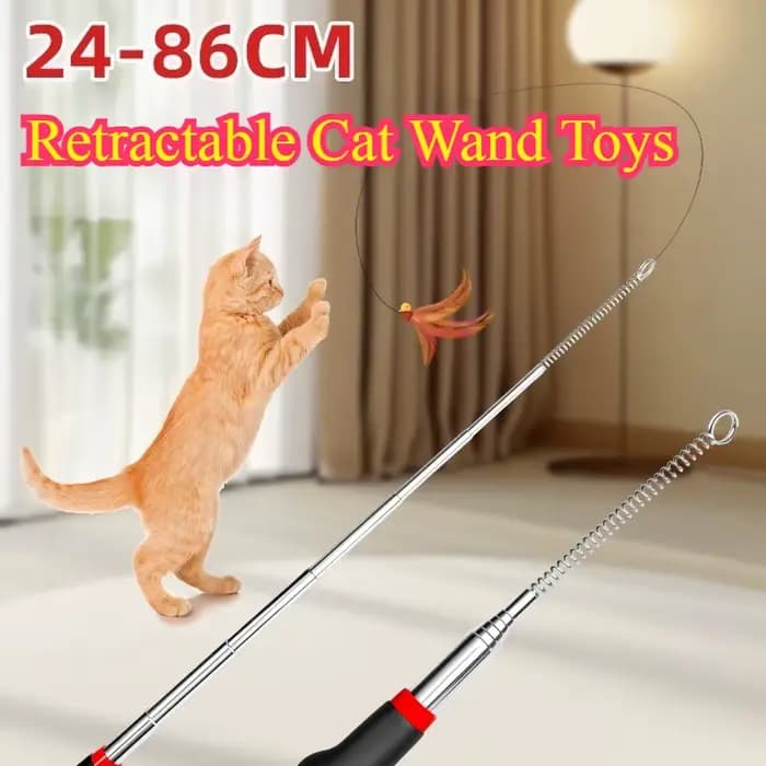 Jouet Teaser rétractable pour chat