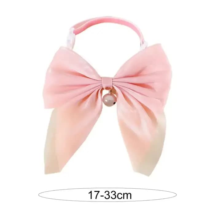 Collier pour animaux de compagnie
