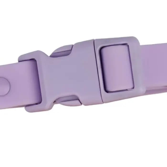 Collier de chien à sangle élastique