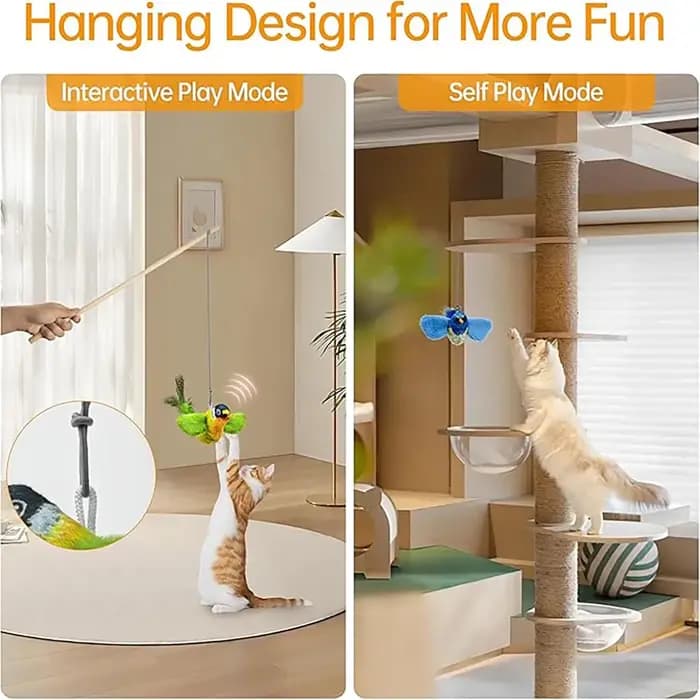 Jouet interactif d'intérieur pour chat