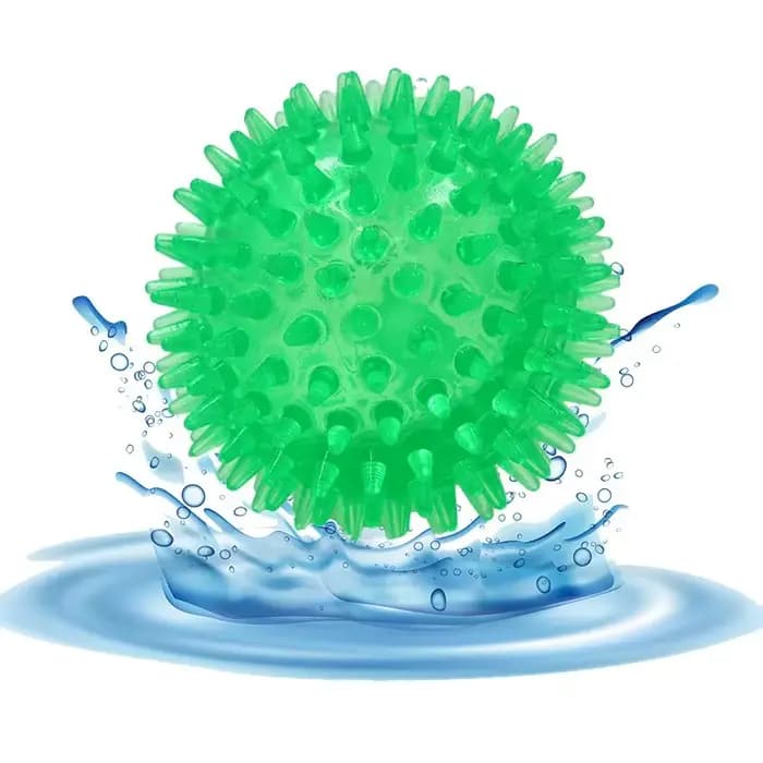 Jouets pour animaux de compagnie