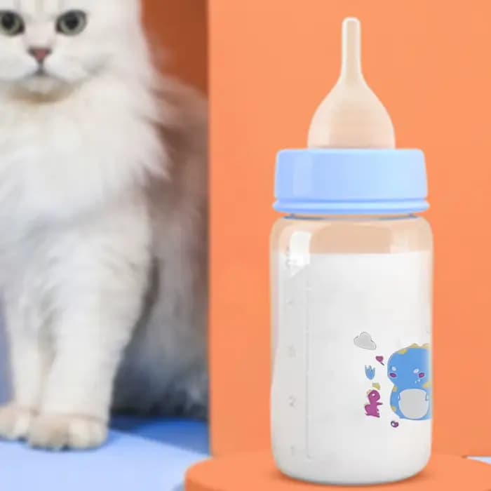 Biberon pour chaton mignon