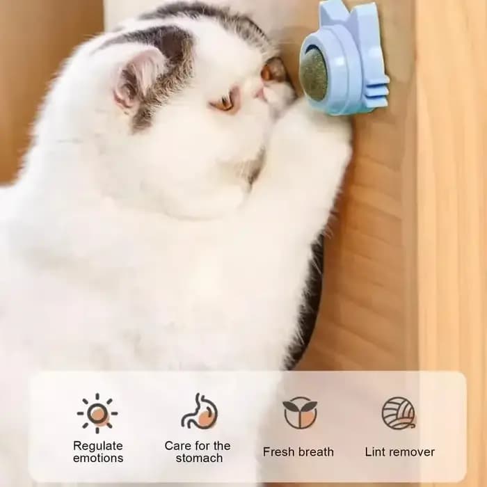 Jouets à la Catnip pour chats – Balle interactive murale d'intérieur à rotation