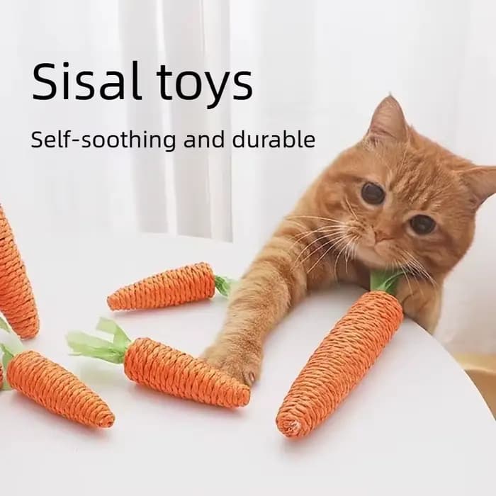 Jouet pour chat avec son