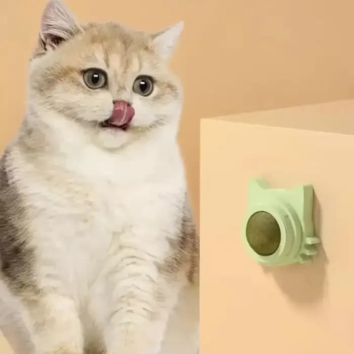Boules d'herbe à chat, jouets à mâcher dentaires amusants et léchables pour chatons