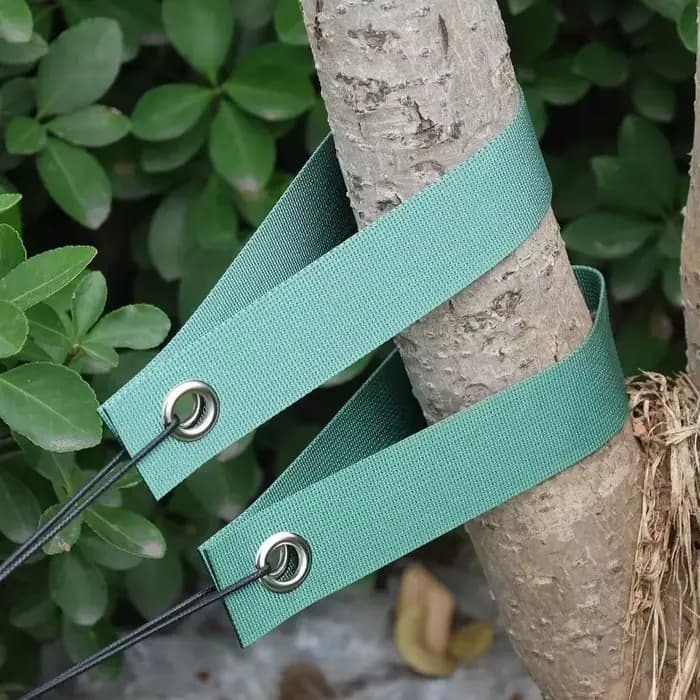 Sangles de Support d'Arbre pour Piquets