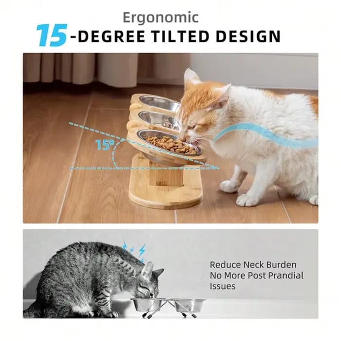 Mangeoire et abreuvoir pour chat