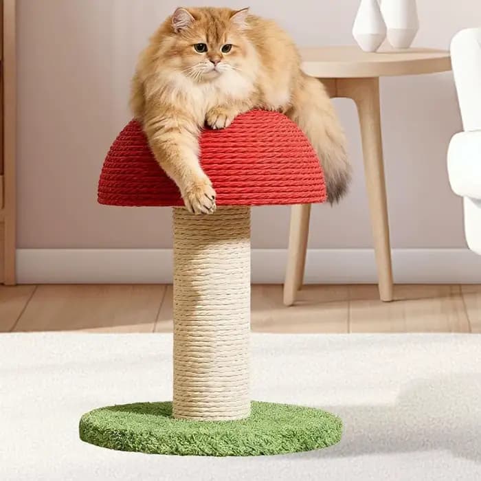 Griffoir pour chat en forme de champignon