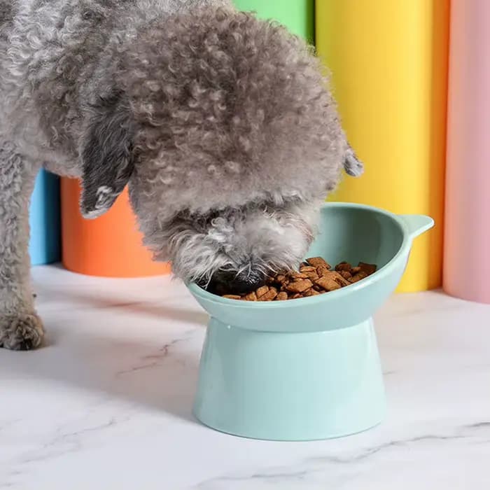 Bol incliné pour nourriture pour chat