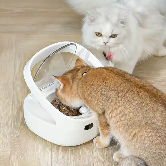 Nouvelle gamelle Petoneer NutriCare conçue pour les foyers multi-animaux
