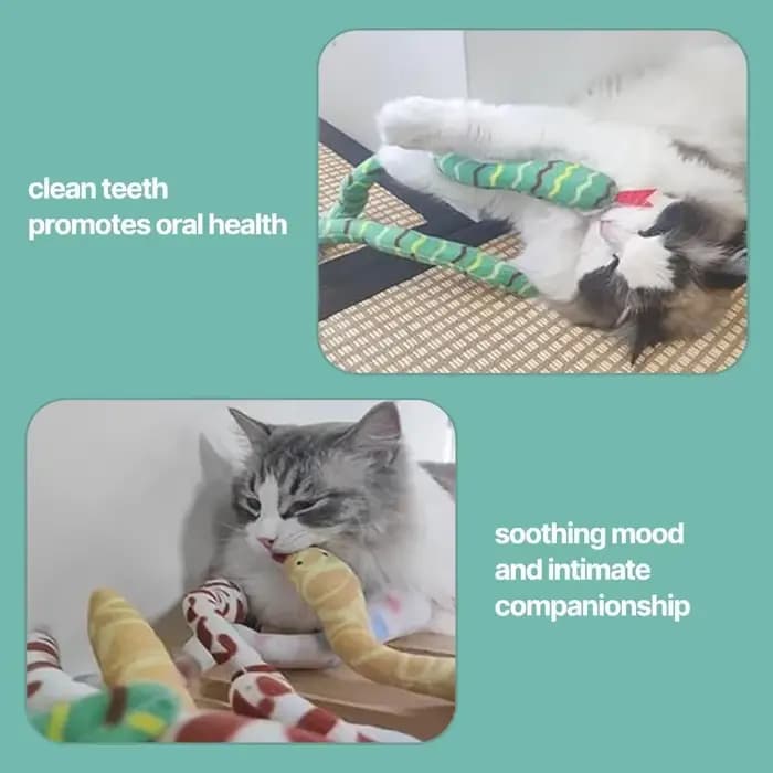 Jouets serpent à pince pour chat