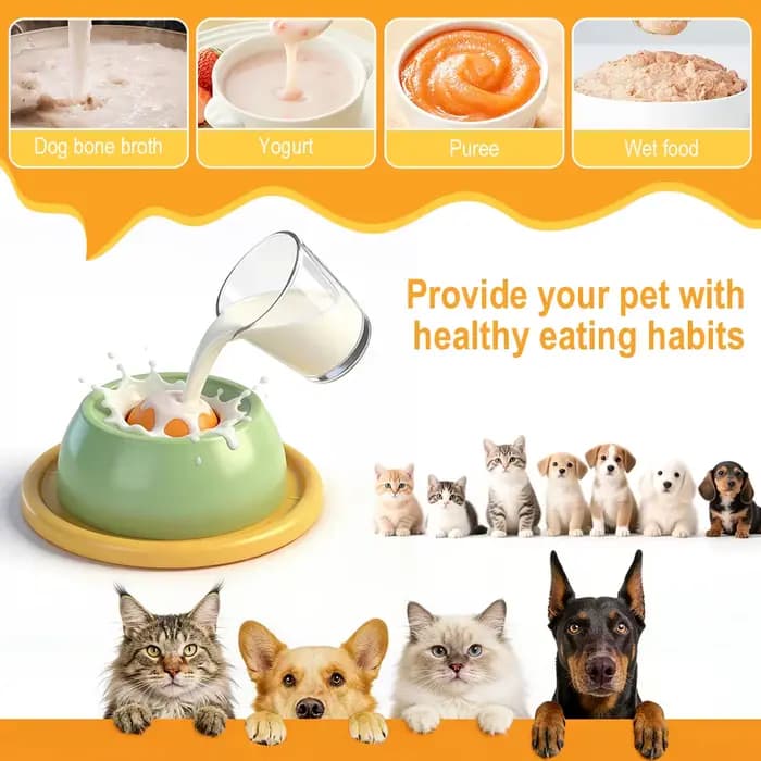 Bol interactif pour chat