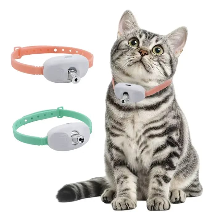 Colliers laser pour chat