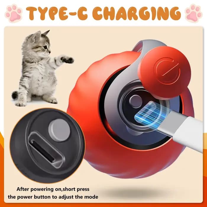 Nouveau jouet pour chat Speedy Tail 2.0