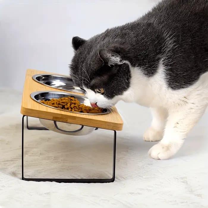 Bol surélevé pour chat