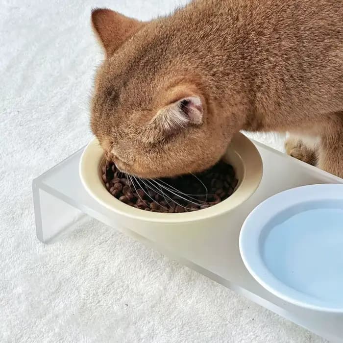 Bol surélevé en céramique pour chat