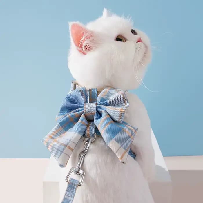 Collier pour chien et chat