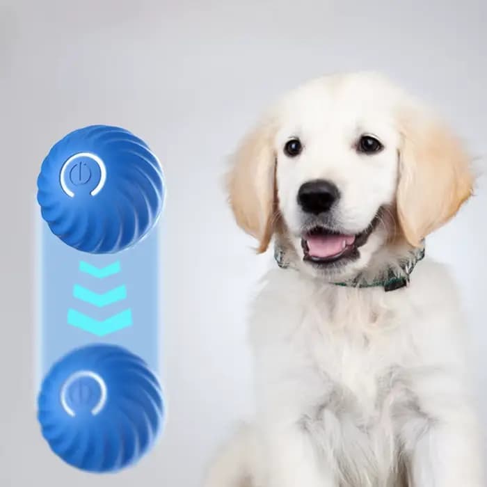 Balle de jouet pour animaux de compagnie