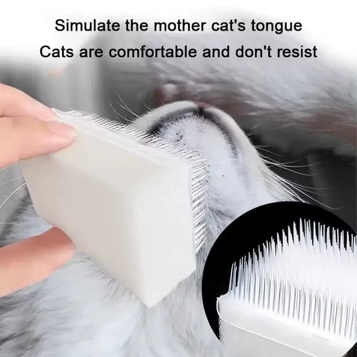 Brosse de Massage pour chat et chien