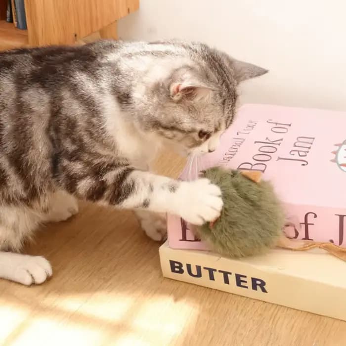 1/5 pièces souris interactive en peluche chat jouet à mâcher grinçant Imitation