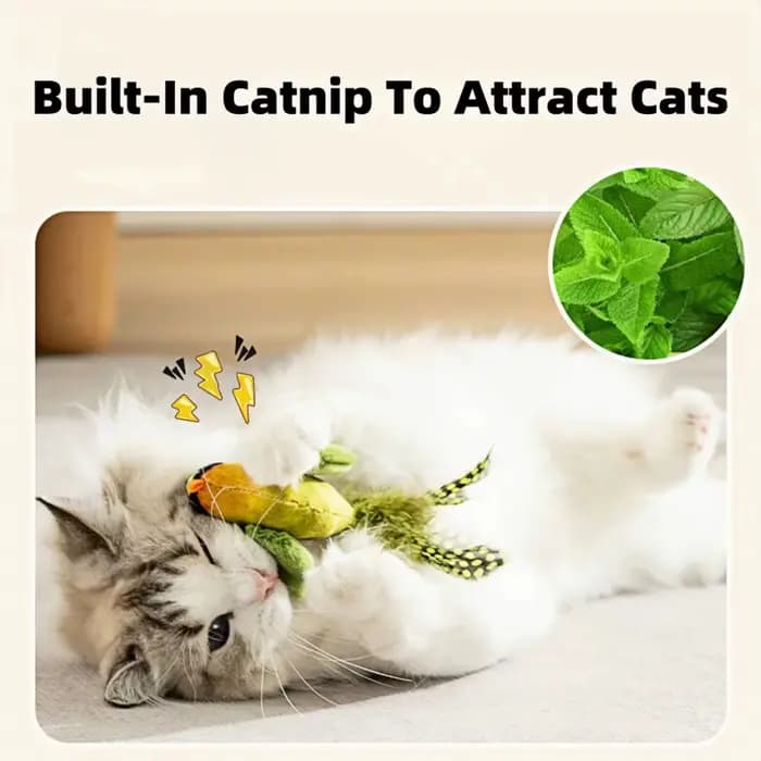 Jouets pour chats d'intérieur