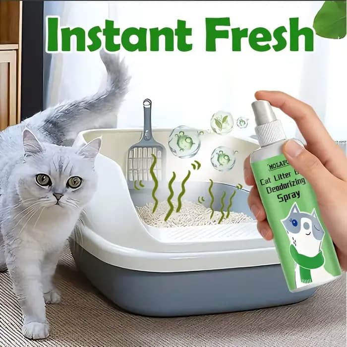 Spray désodorisant pour litière pour chats