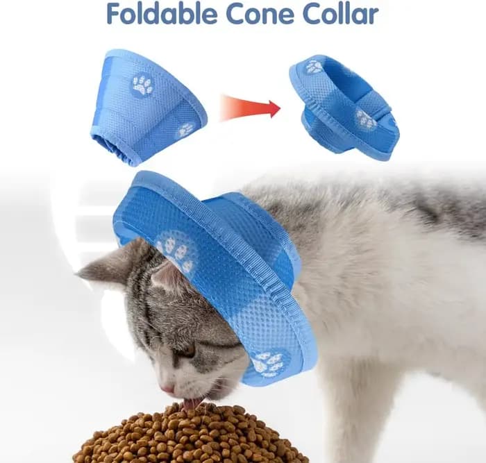 Collier conique réglable pour chat