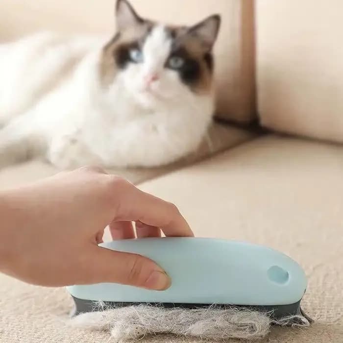 Épilateur pour chien et chat