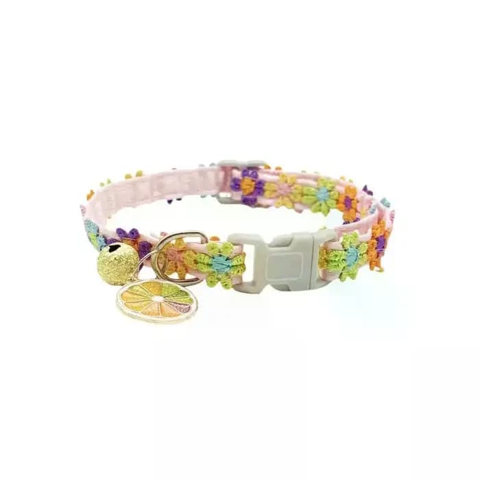 Collier pour animaux de compagnie