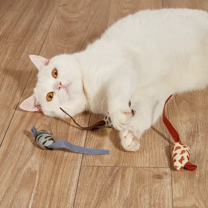 Jouet en peluche amusant pour chat