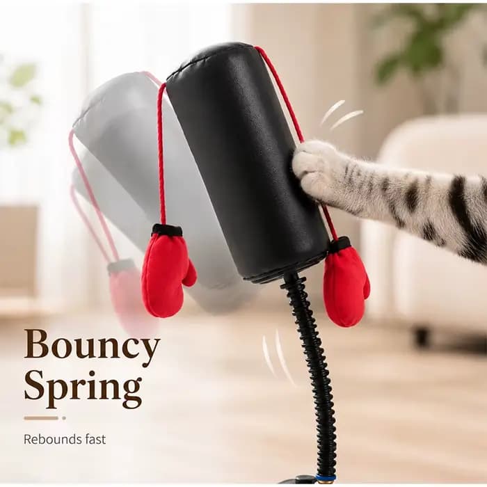 Jouet interactif de boxe pour chat