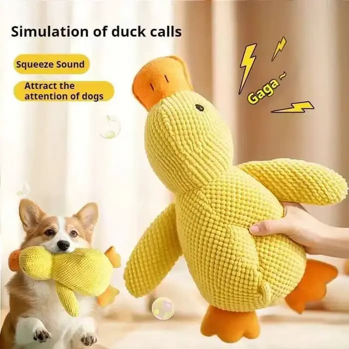 Jouet en peluche pour animaux de compagnie