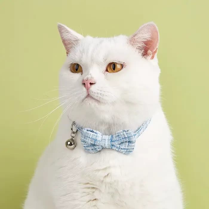 Collier à nœud réglable pour chat