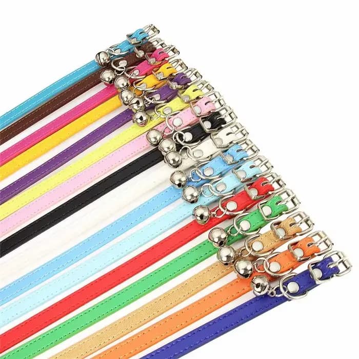 Collier en cuir pour petit chien et chat