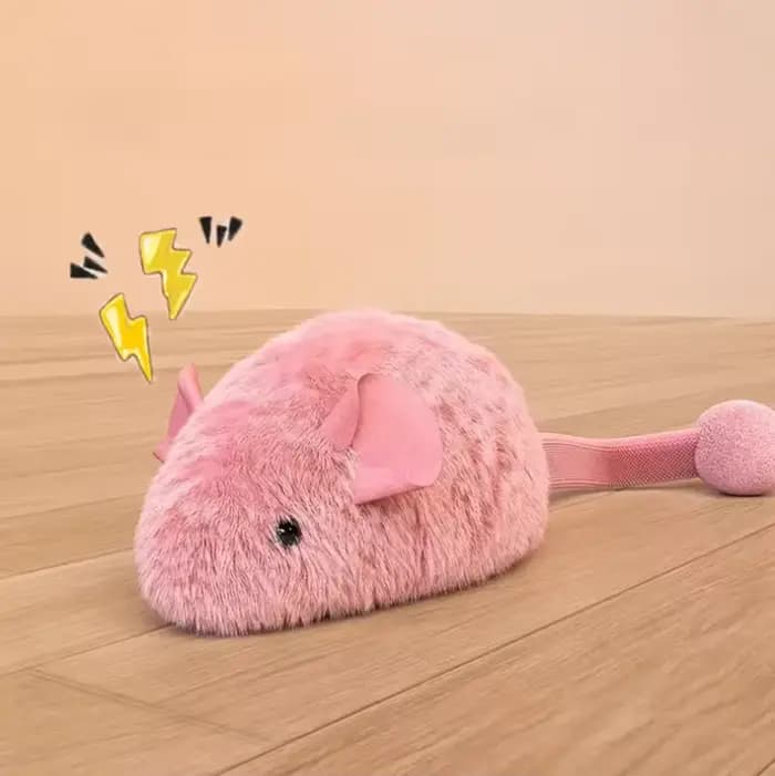 Jouets interactifs en peluche pour chat