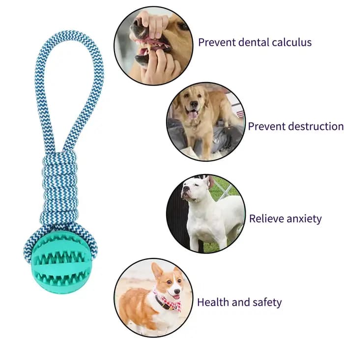 Boule de nettoyage des dents d'animaux domestiques