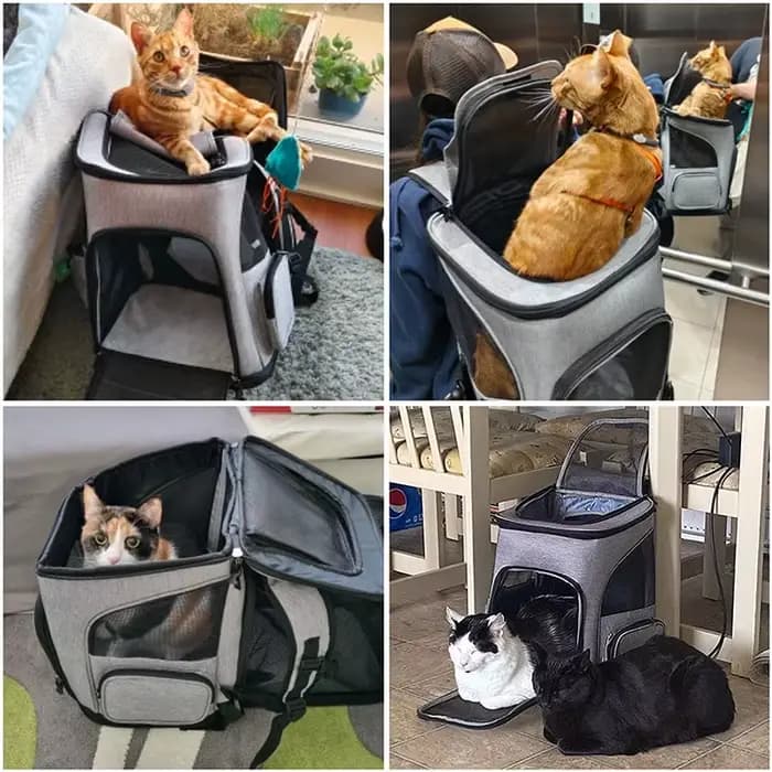 Sac à dos de transport respirant pour animaux de compagnie