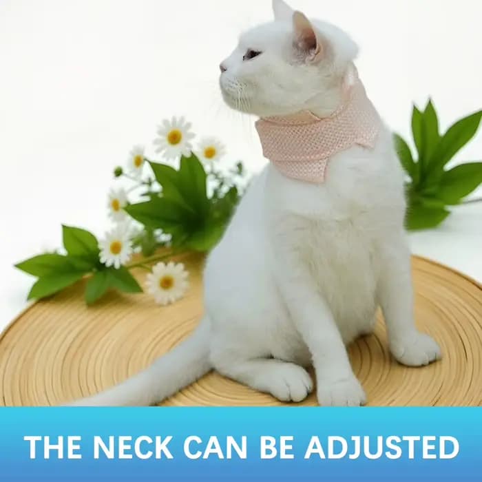 Collier de cou Anti-léchage pour chat