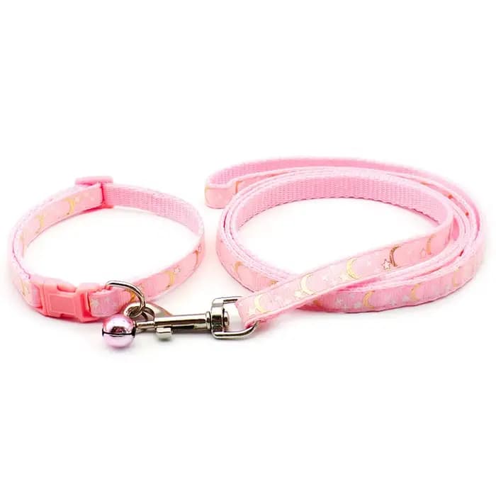 Collier pour chien et chat