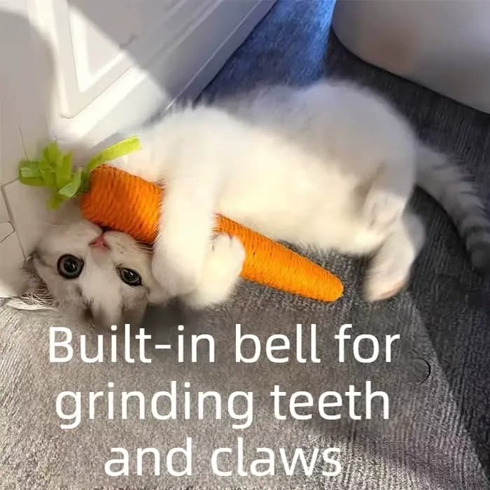 Jouet pour chat avec son